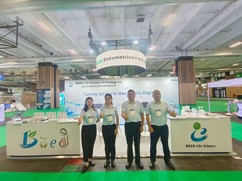 开云体云app官网入口