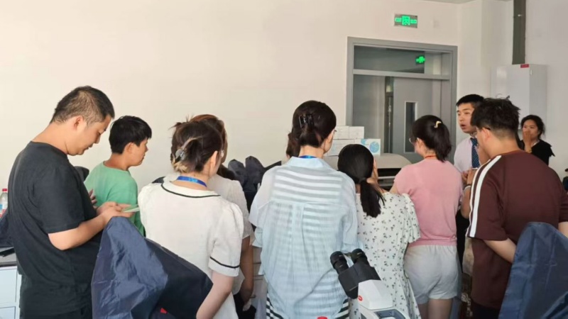 开云体云app官网入口