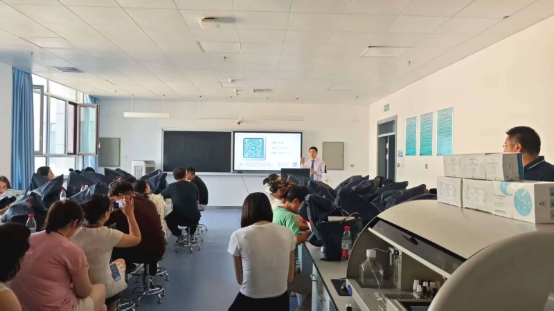 开云体云app官网入口