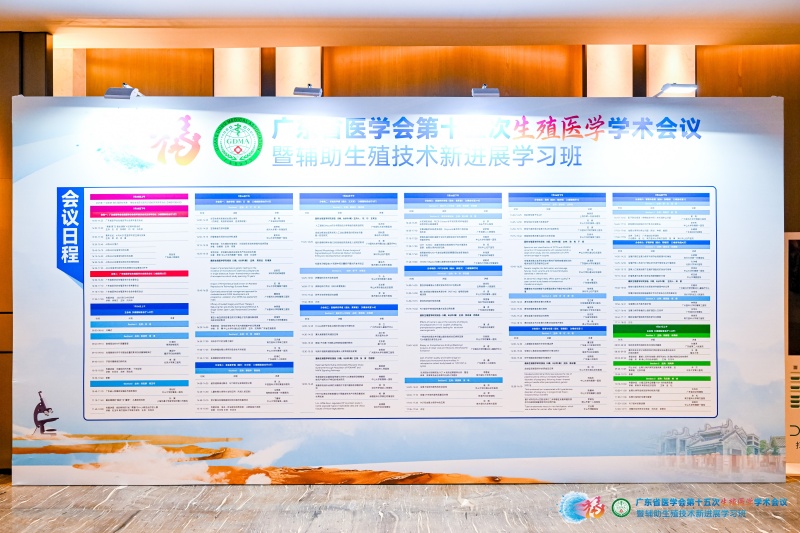 开云体云app官网入口