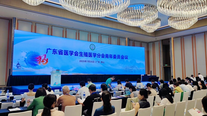 开云体云app官网入口