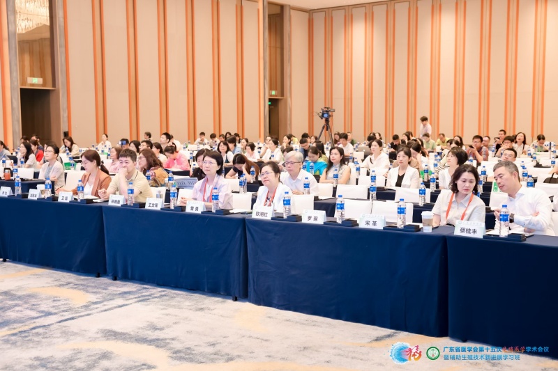 开云体云app官网入口