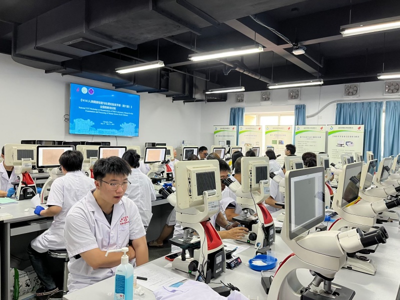 开云体云app官网入口