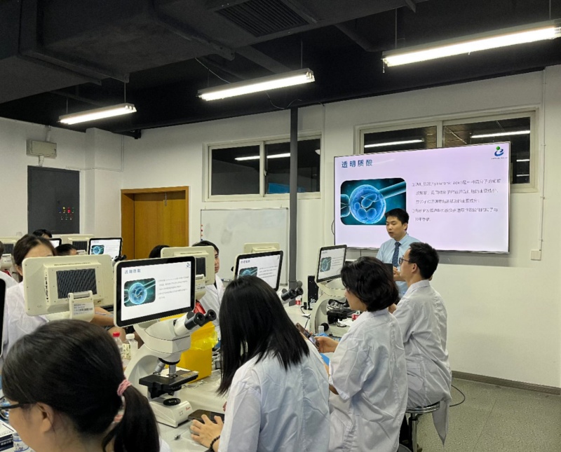 开云体云app官网入口