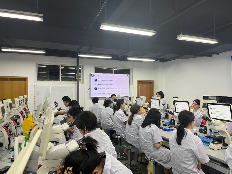 开云体云app官网入口