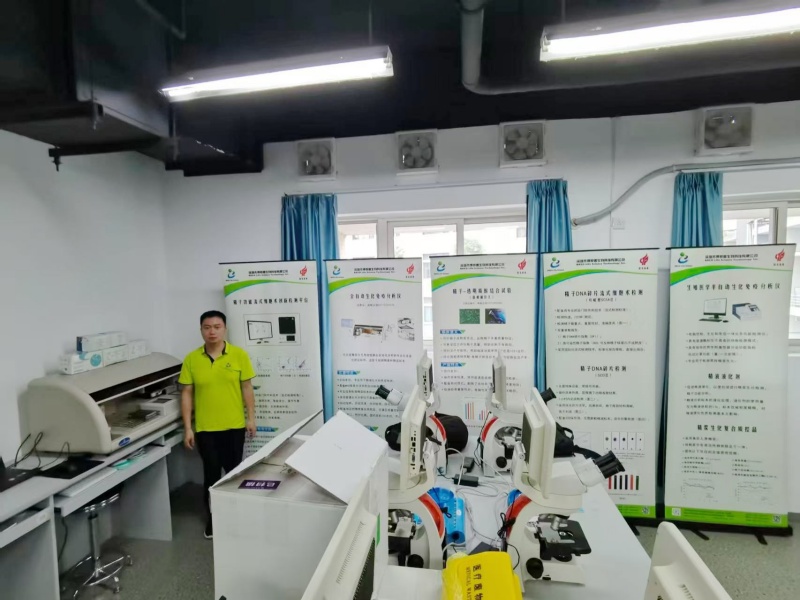 开云体云app官网入口