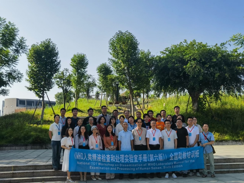 开云体云app官网入口