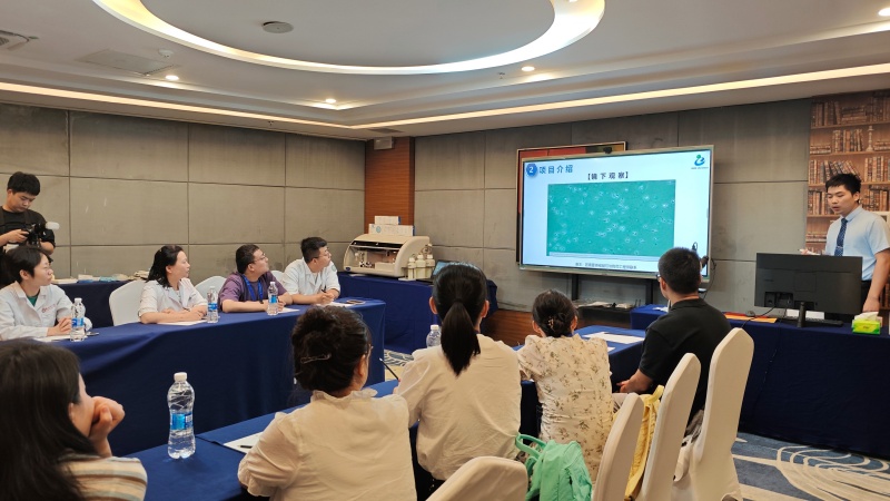 开云体云app官网入口