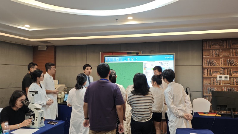 开云体云app官网入口