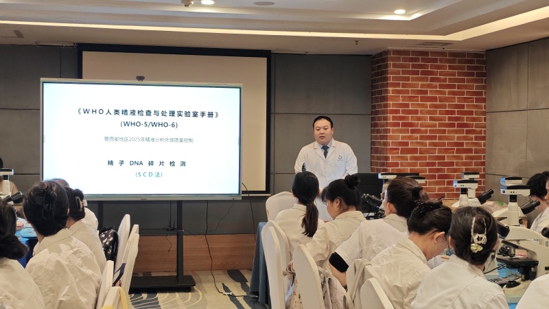 开云体云app官网入口