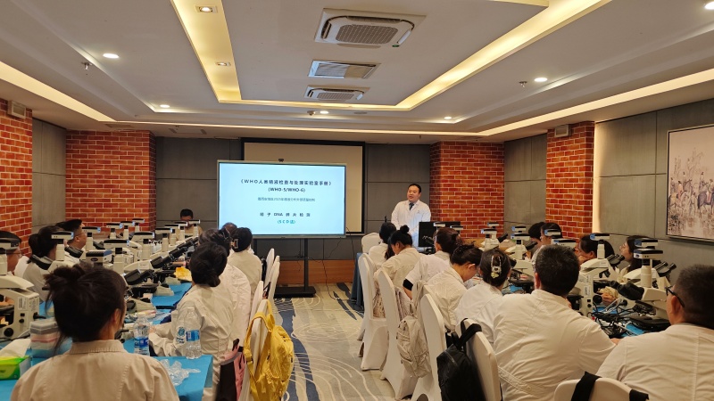 开云体云app官网入口