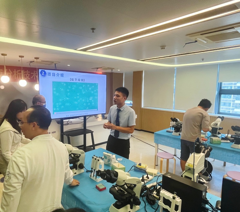 开云体云app官网入口