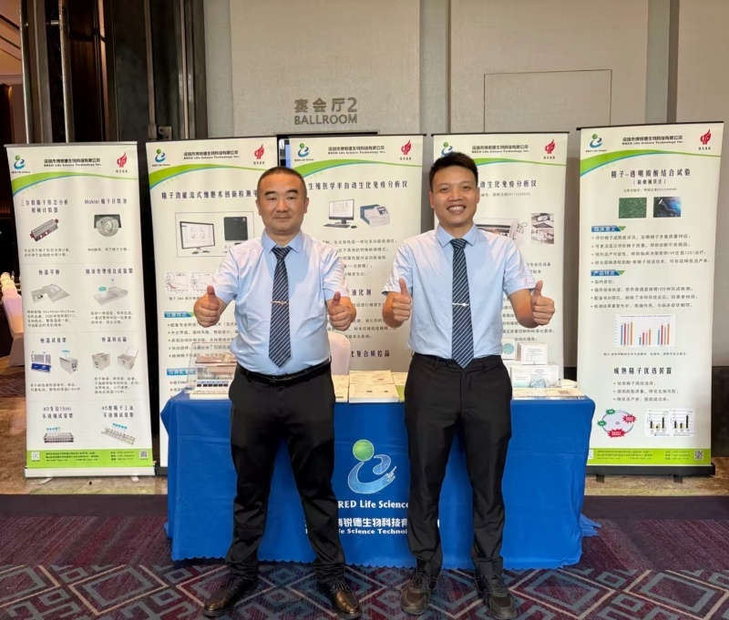 开云体云app官网入口