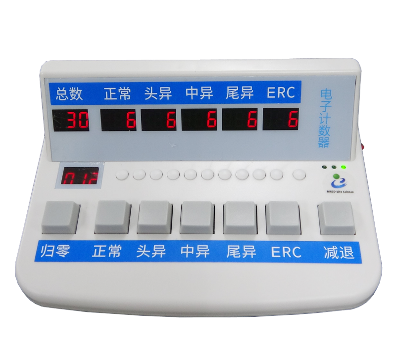 开云体云app官网入口