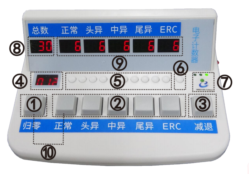 开云体云app官网入口