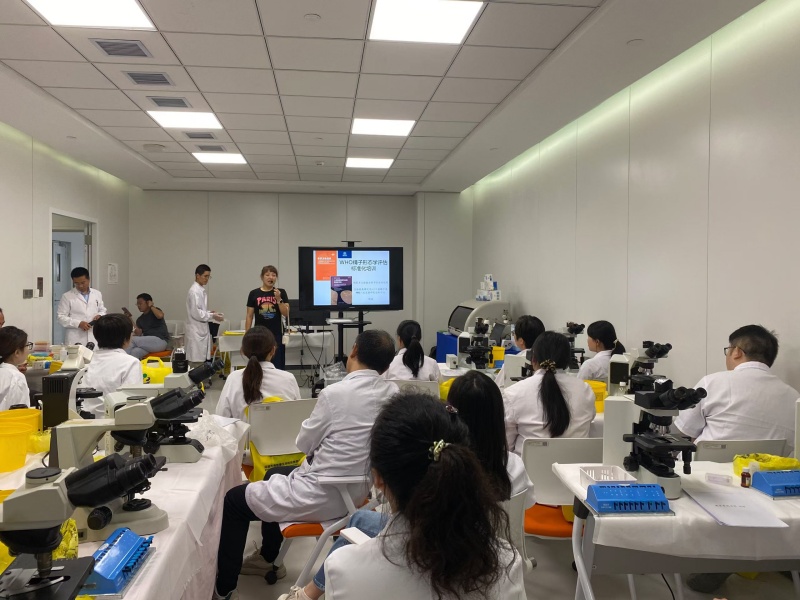 开云体云app官网入口