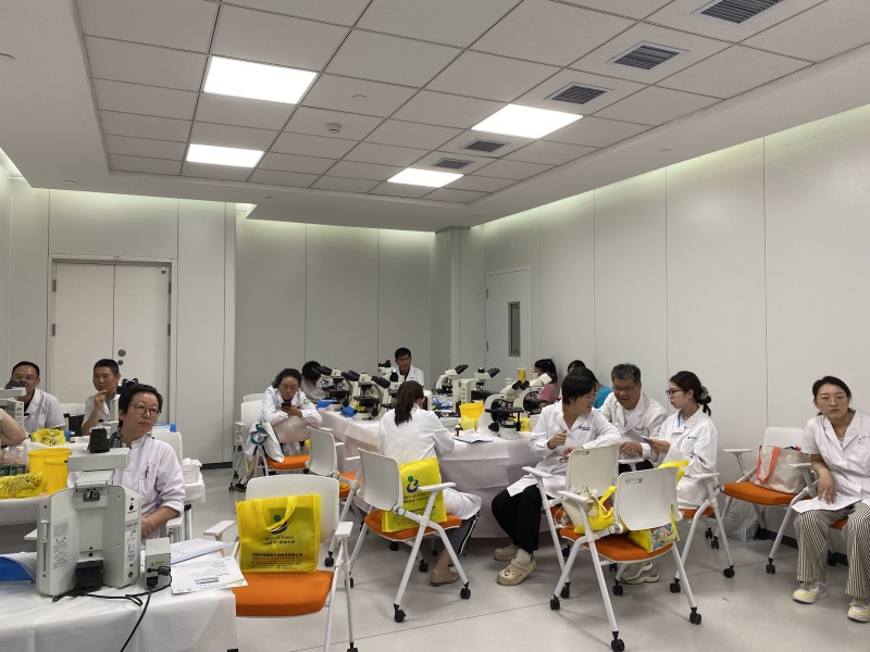 开云体云app官网入口