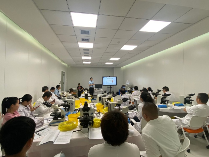 开云体云app官网入口