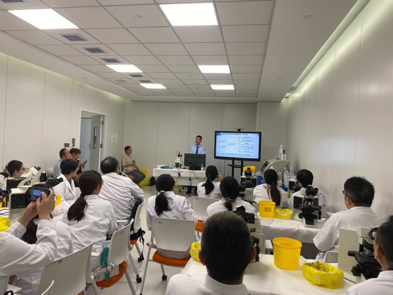 开云体云app官网入口