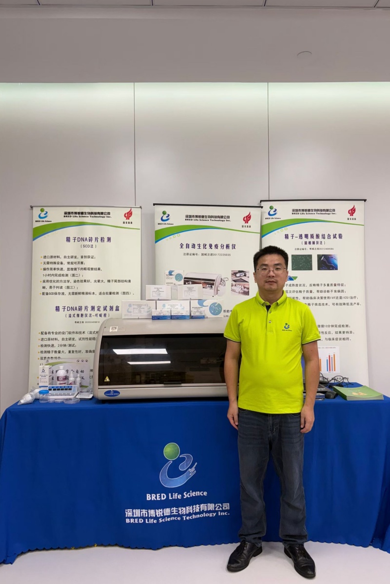 开云体云app官网入口