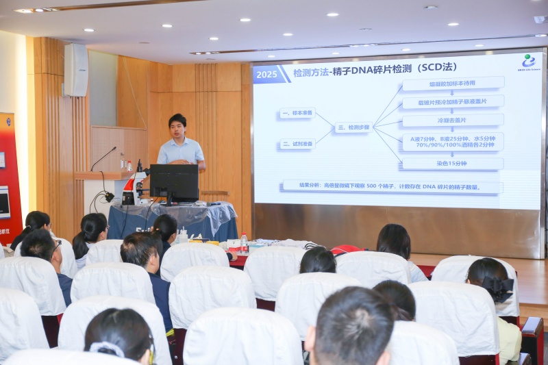 开云体云app官网入口