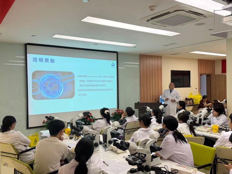 开云体云app官网入口