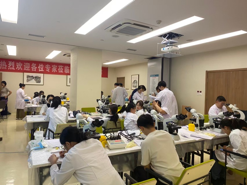 开云体云app官网入口