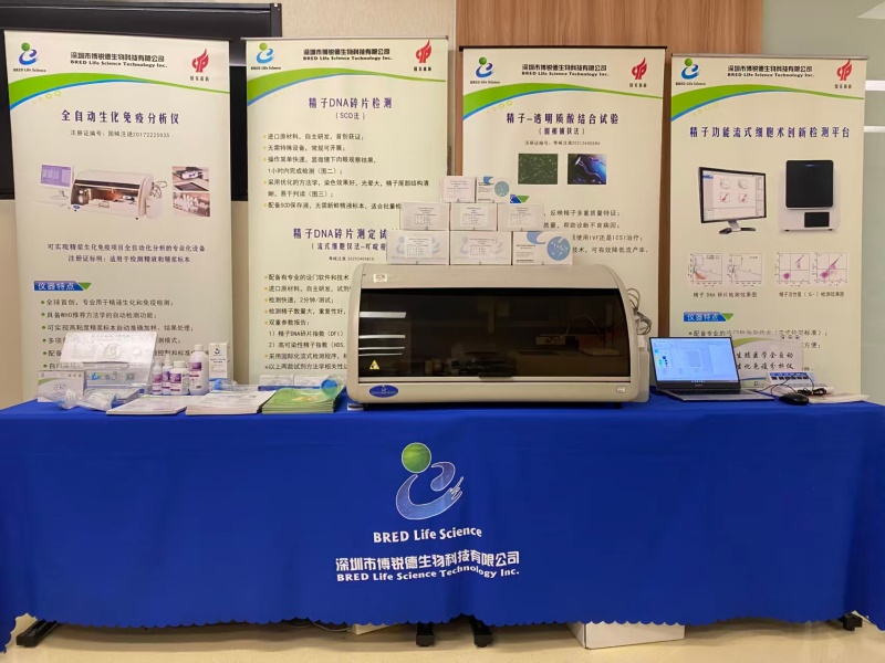 开云体云app官网入口