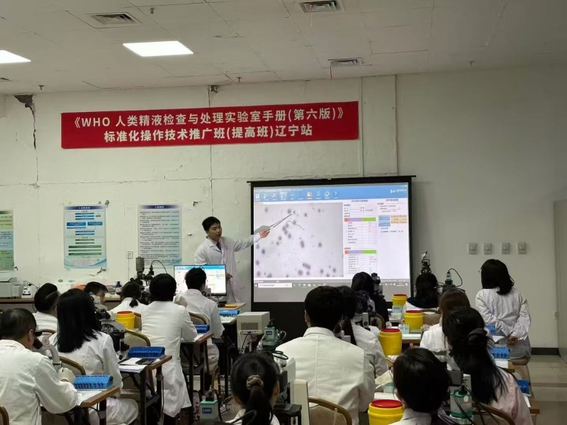 开云体云app官网入口