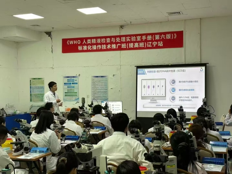 开云体云app官网入口