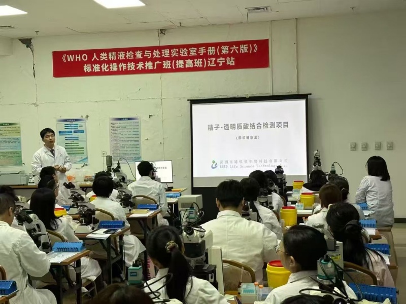 开云体云app官网入口