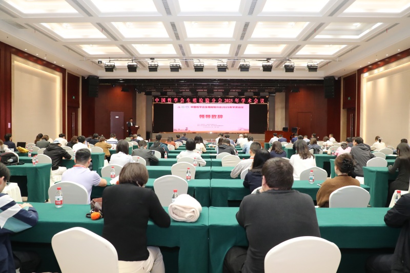 开云体云app官网入口