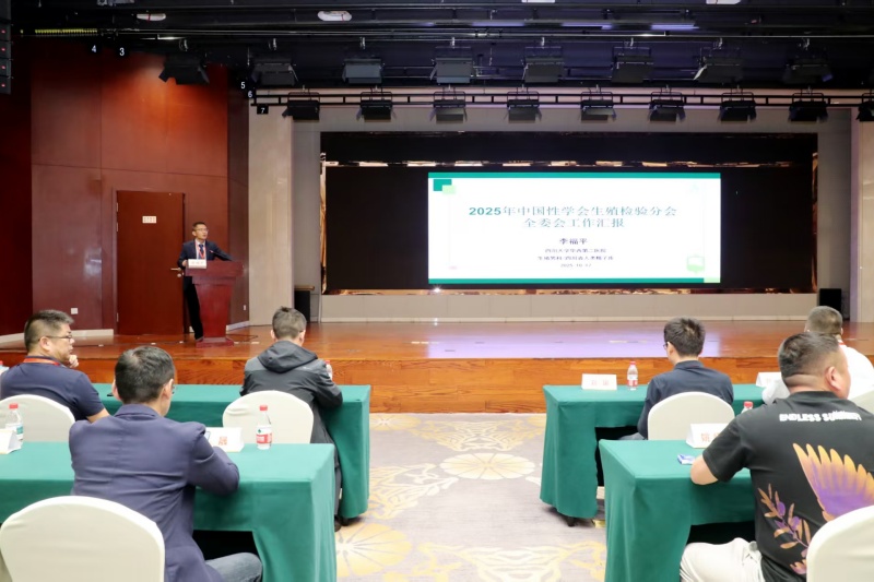 开云体云app官网入口