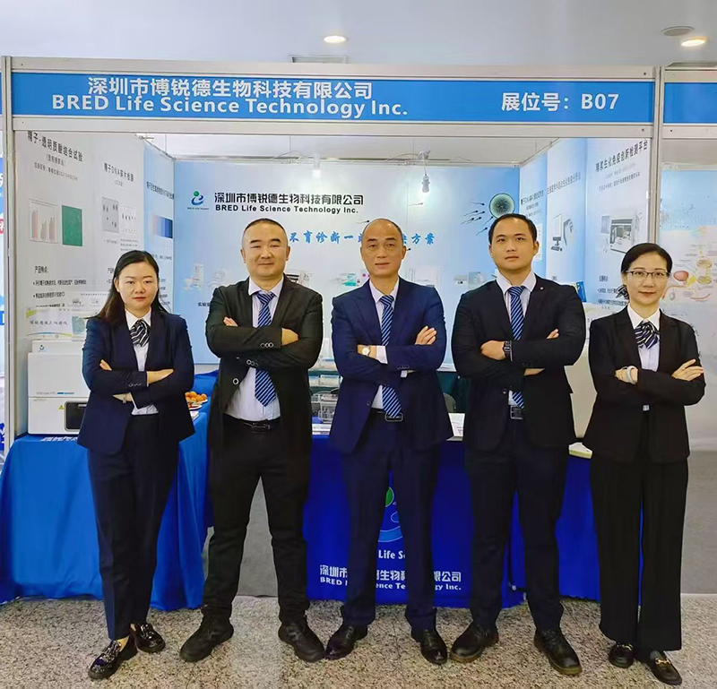 开云体云app官网入口