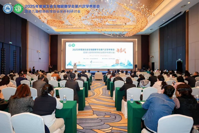 开云体云app官网入口