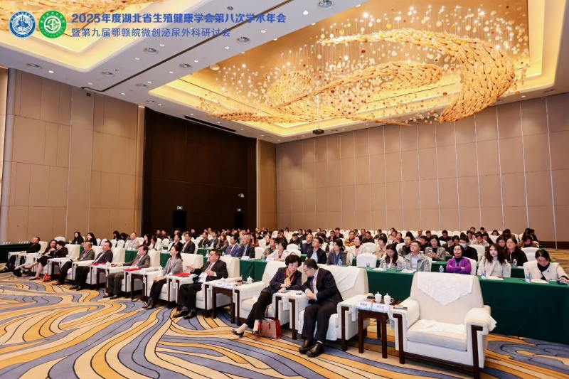 开云体云app官网入口