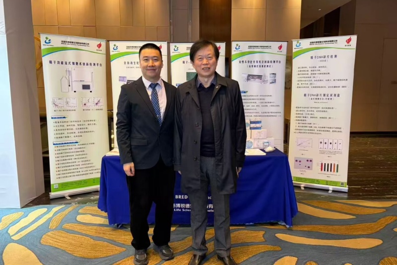 开云体云app官网入口