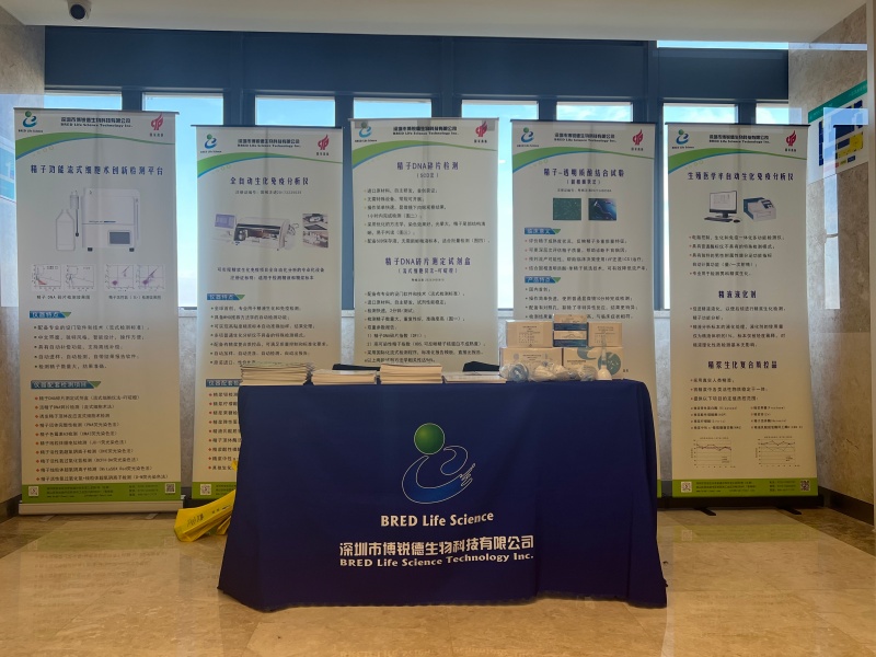 开云体云app官网入口