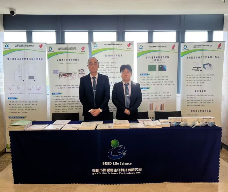 开云体云app官网入口