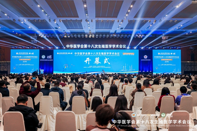 开云体云app官网入口