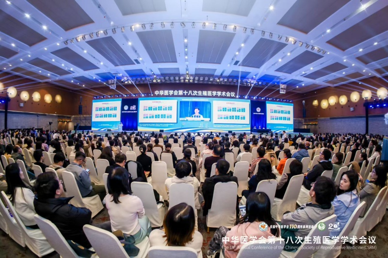 开云体云app官网入口