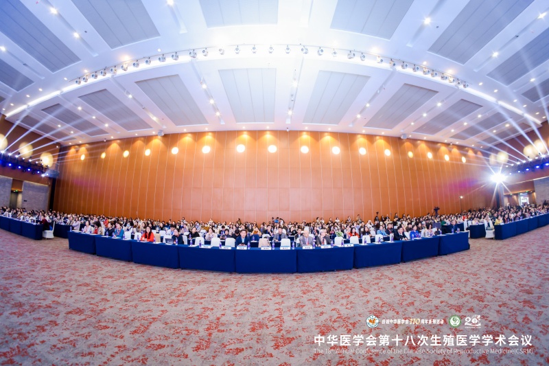 开云体云app官网入口