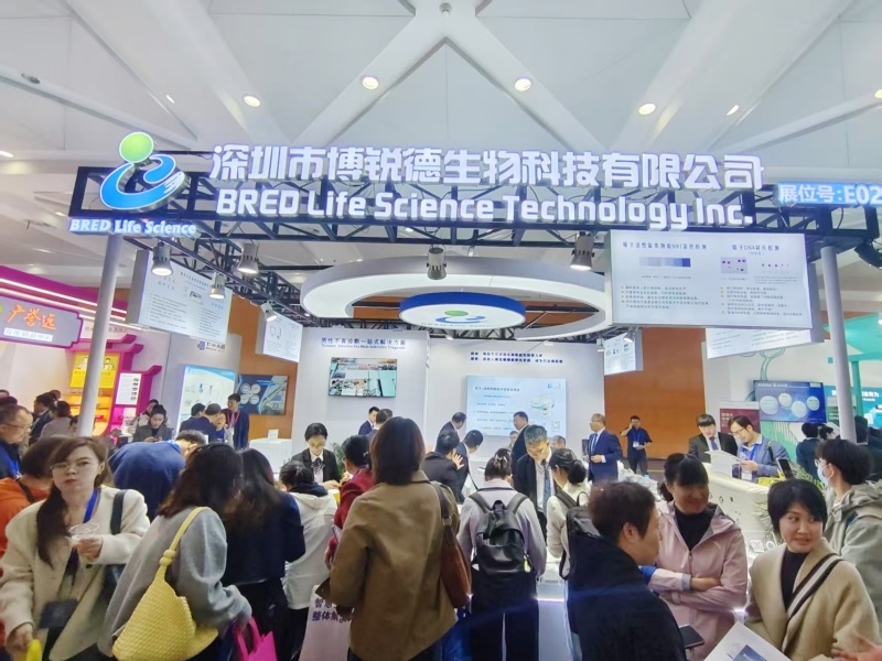 开云体云app官网入口