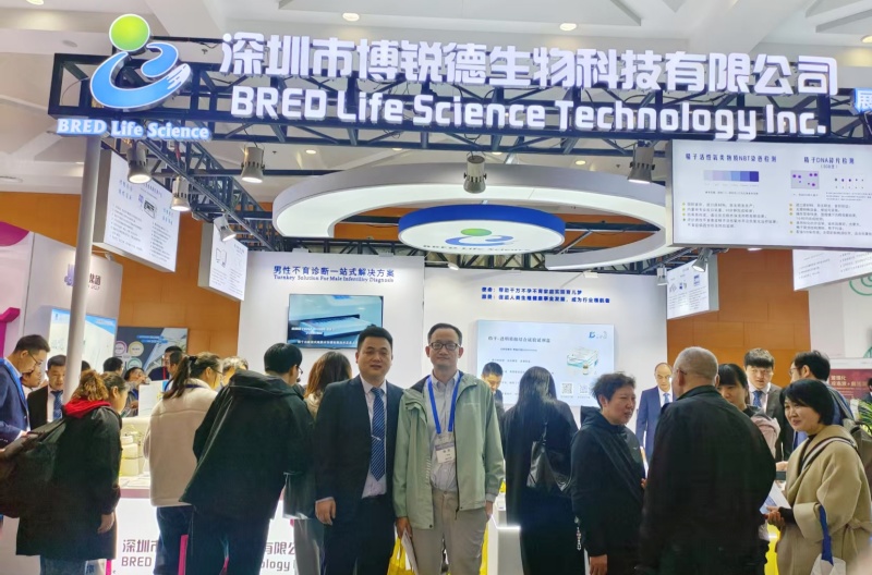 开云体云app官网入口