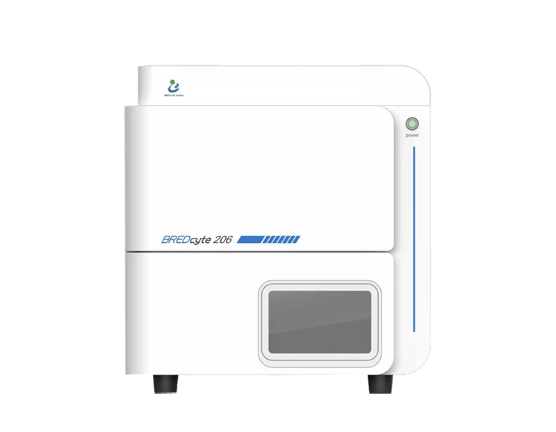 开云体云app官网入口