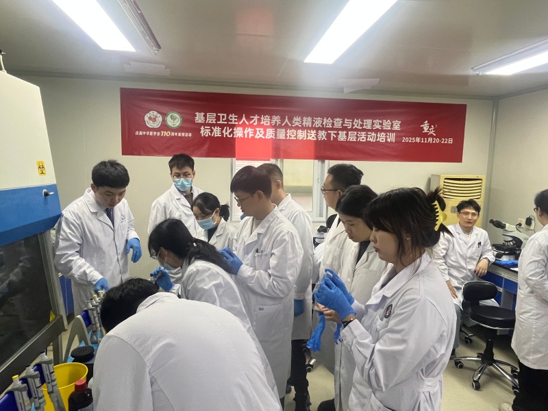 开云体云app官网入口