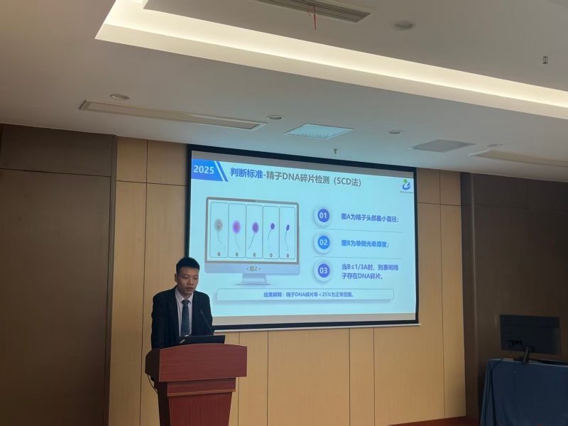 开云体云app官网入口