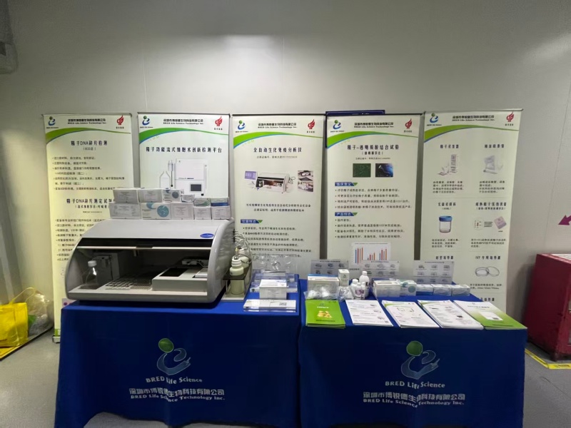 开云体云app官网入口