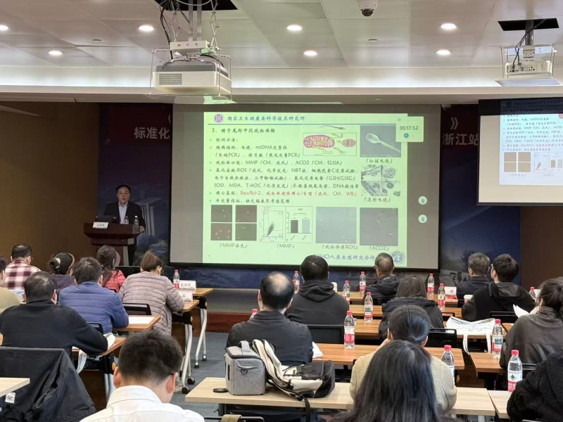 开云体云app官网入口