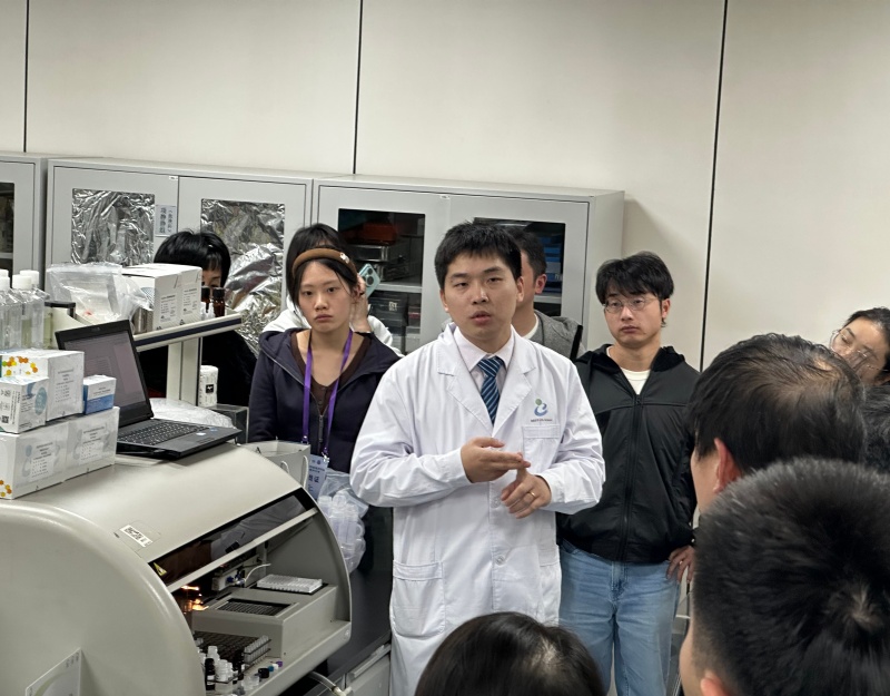 开云体云app官网入口